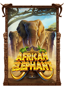 สูตรเด็ดเล่น slot rio สร้างกำไรได้จริง